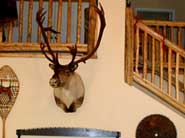Decor abounds with Montana taste.